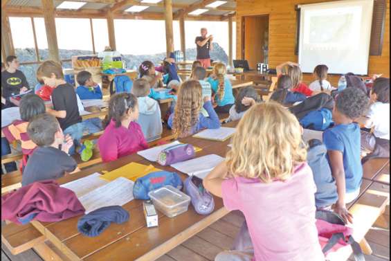 A l'écoute des cagous