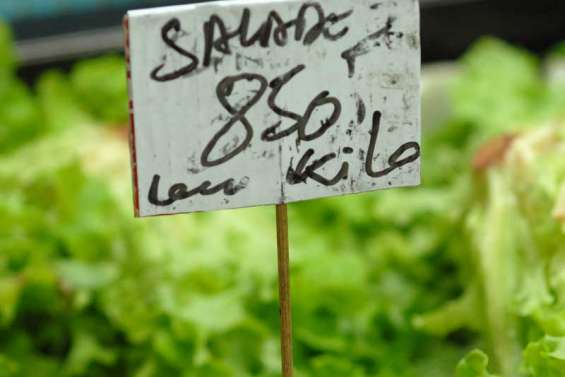 Vie chère, la lutte continue