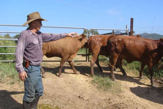 L'Ocef au service des éleveurs