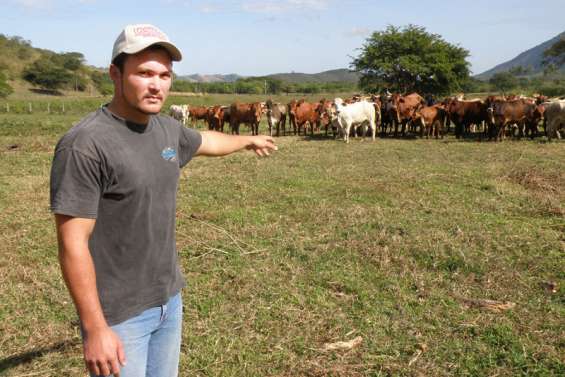 Même les stockmen ont le blues