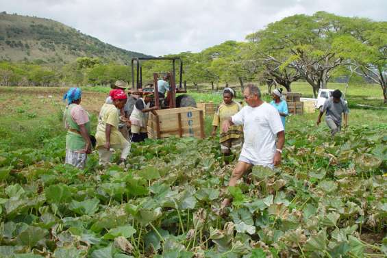 Les aides, un parcours du combattant