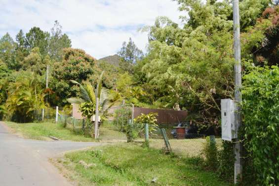 Homicide au Mont-Dore