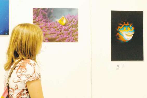 5e édition du Festival de l'image sous-marine 