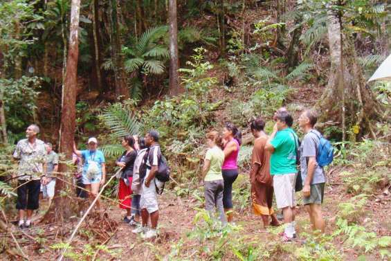 Sortie au parc des Grandes Fougères pour le personnel du LFPA de Bourail