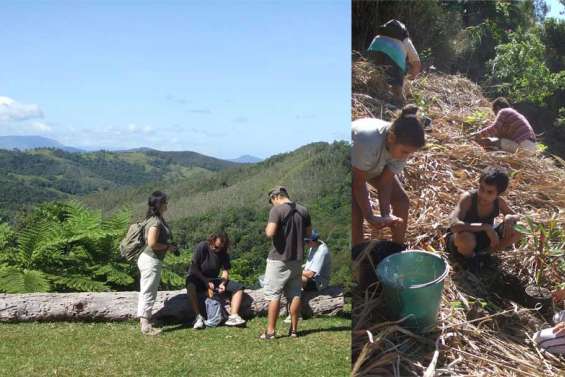 Les oiseaux à l'honneur