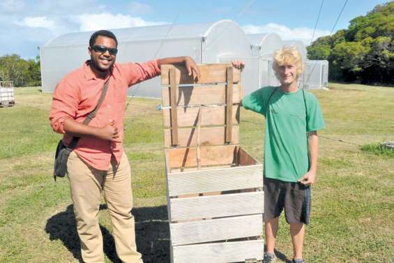 Compostage, suivez le guide