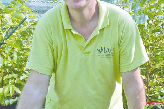 « Les plantes indigènes réapparaissent dans les espaces paysagers publics »