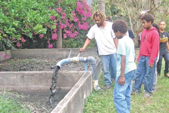 L'environnement  au menu des collégiens