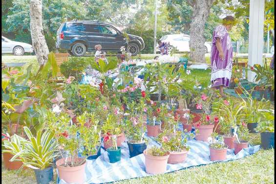 Le samedi des mains vertes