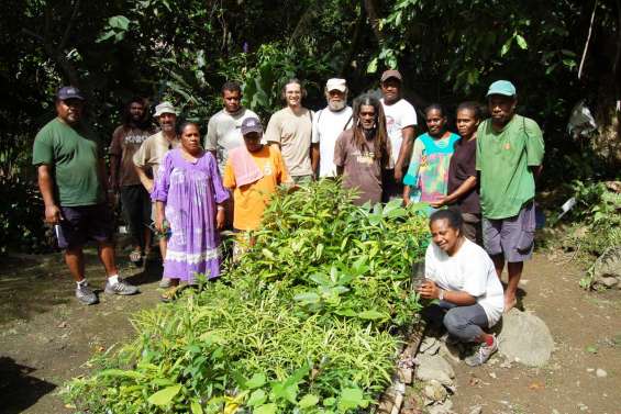 De l'eau, des arbres, la vie
