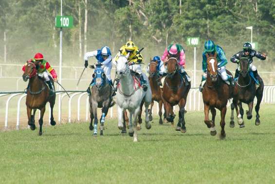 Spectalane intouchable