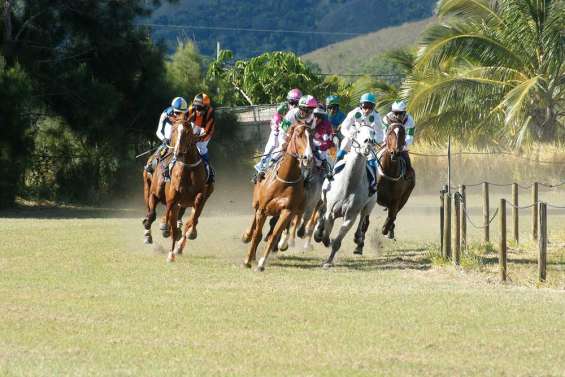 Cigarillo le magnifique