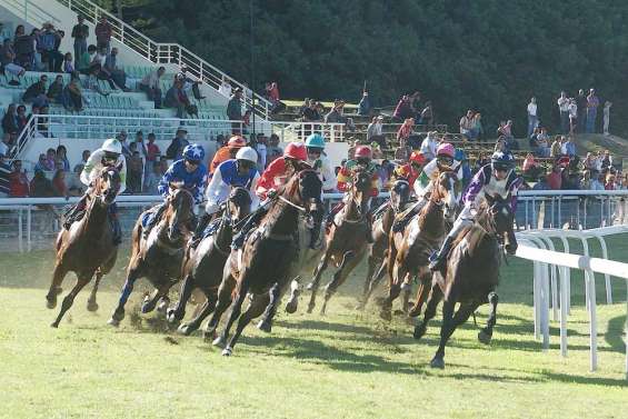 New York Magic en veut