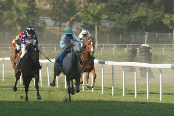 La belle revanche de Cigarillo