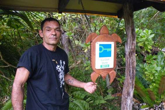 Au vert à la Baie des rouleaux 