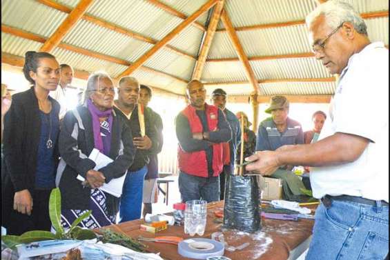 Redonner goût à la terre