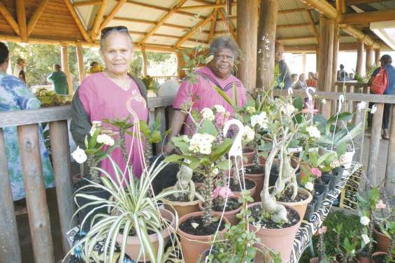 Un marché aux plantes a fleuri