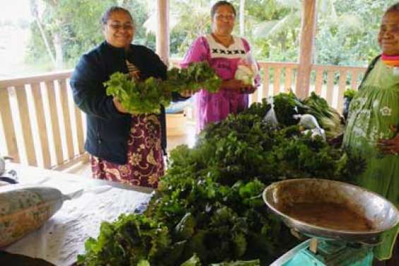 Succès pour les salades de Louise