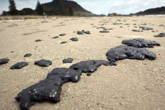 Du pétrole sur les plages