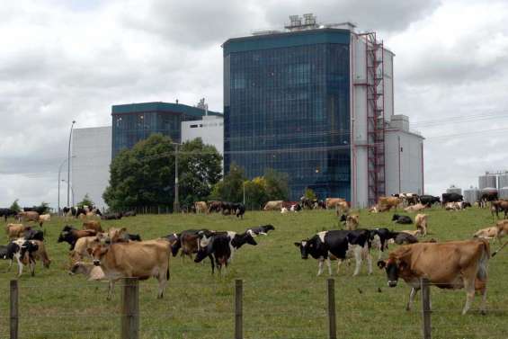Année record pour Fonterra