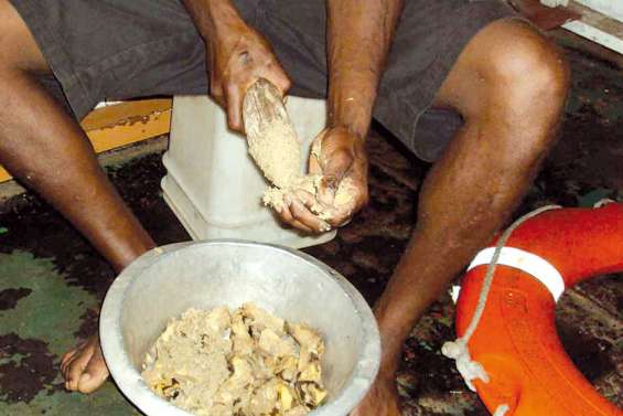 Kava qualité vérifiée