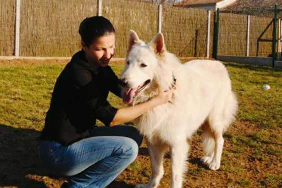 Chantage émotionnel