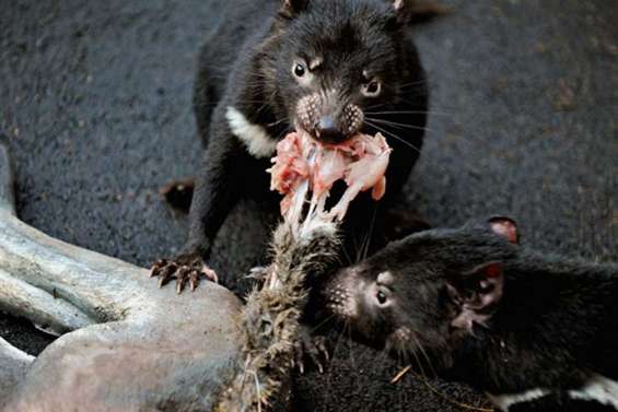 Victime d'un cancer épidémique