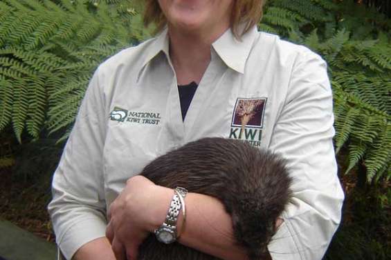 Cinq kiwis remis en liberté