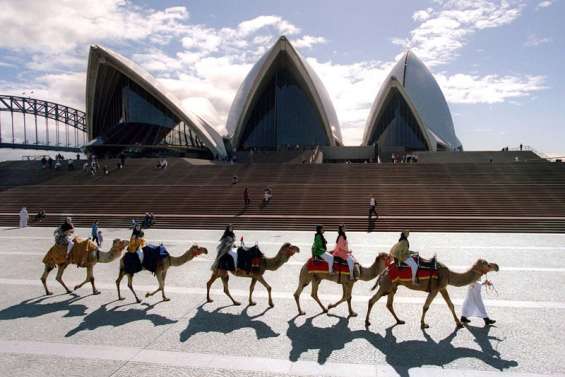 Des chameaux à l'Opéra de Sydney