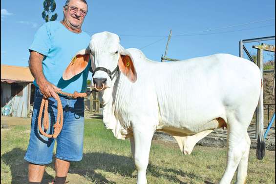 Aux petits soins pour Justesse