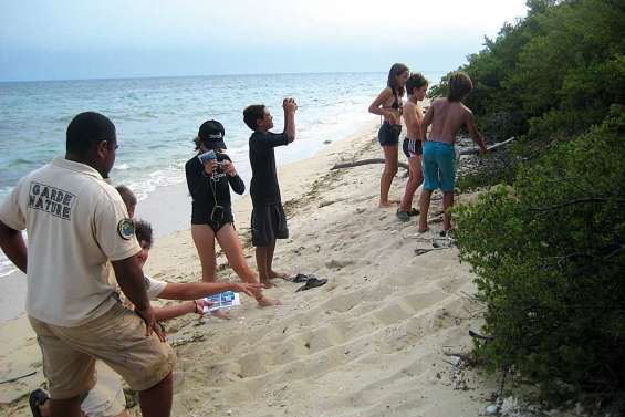 A la découverte des îlots