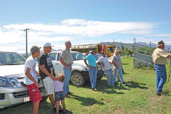 La génétique au service des éleveurs du Nord