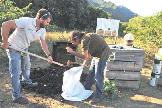 350 kg d'engrais vert