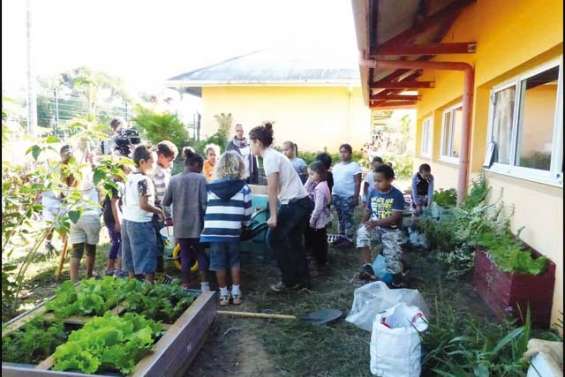 Ils plongent dans leurs racines