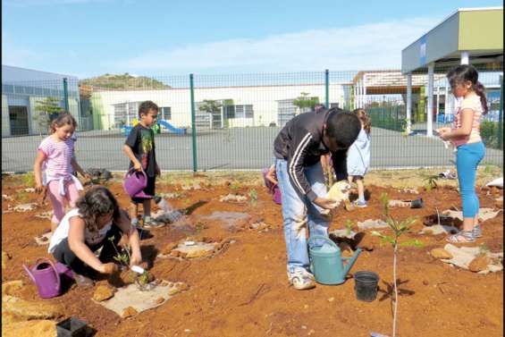 Téari a ses petits jardiniers