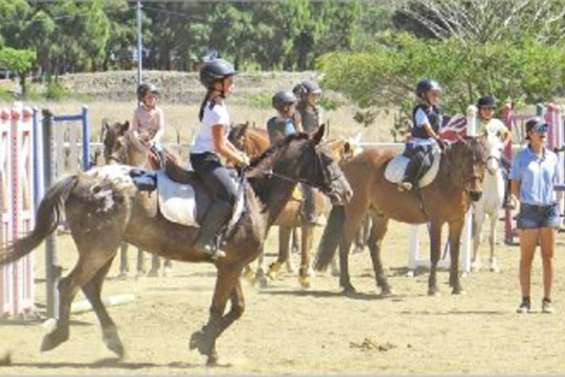 Une affaire qui galope !