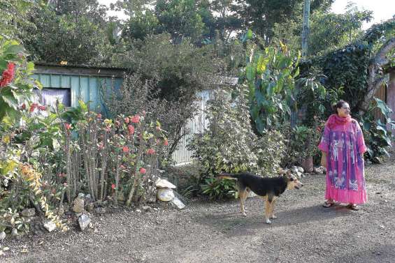Joséphine a la main verte