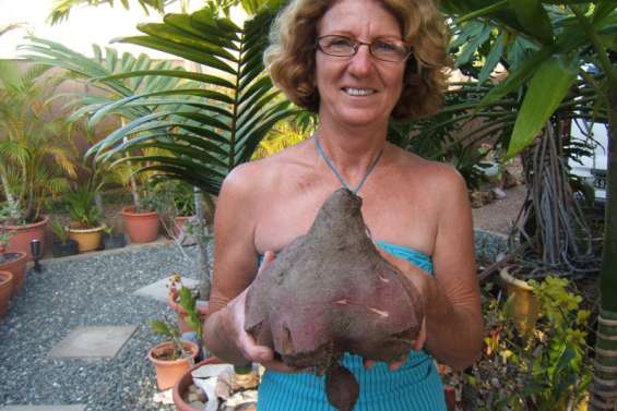 Une surprise de taille