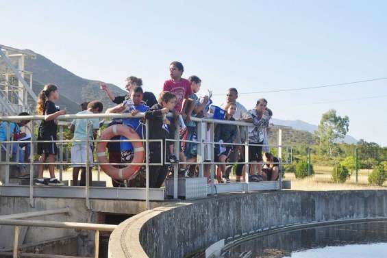 Ils voient la vie en vert