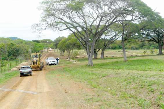 Un poumon vert pour s'oxygéner