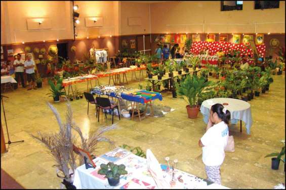 Un grand coup de vert