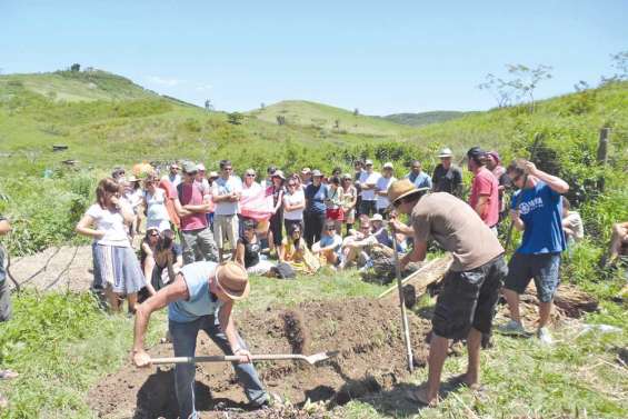 En vert et pour tous