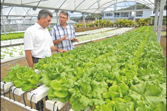 Quand l'agriculture innove