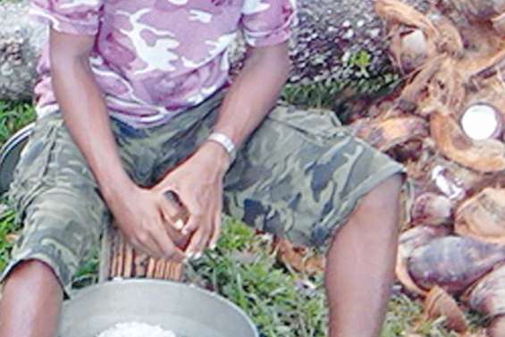 Des barquettes pour des concerts