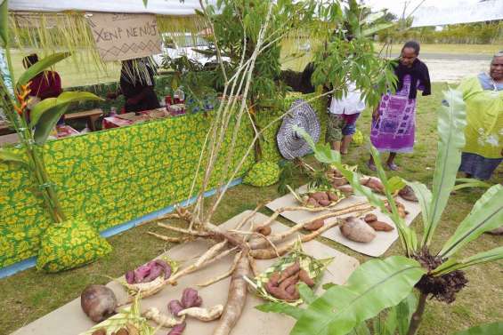 Des tubercules sur un plateau