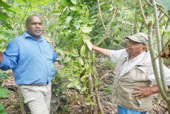 De nouveaux projets à soutenir