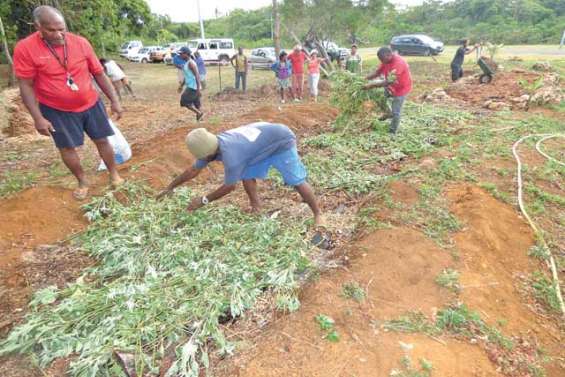 Valoriser la culture parles buttes permanentes bio