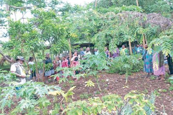 L'agriculture bio a fait recette