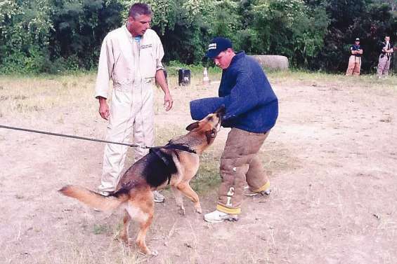 Même pas peur des chiens ni des chevaux