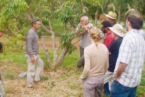 Le bio fait des émules